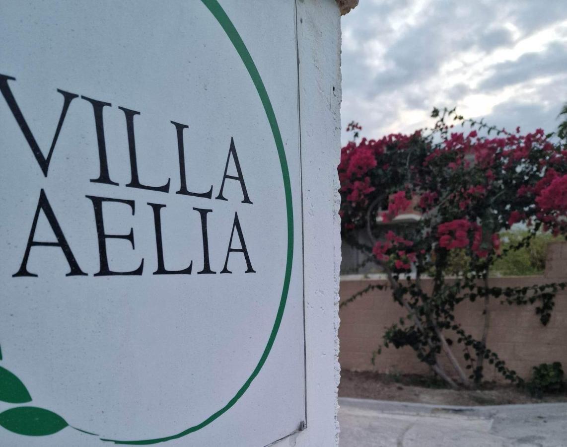Aelia House Kefalos - Cozy & Quiet Luaran gambar